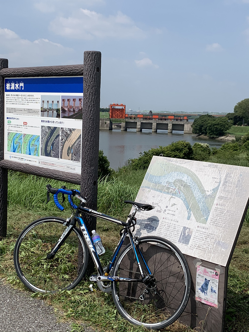 ロードバイク日記① －荒川サイクリングロードと赤羽ラーメン「伊藤 